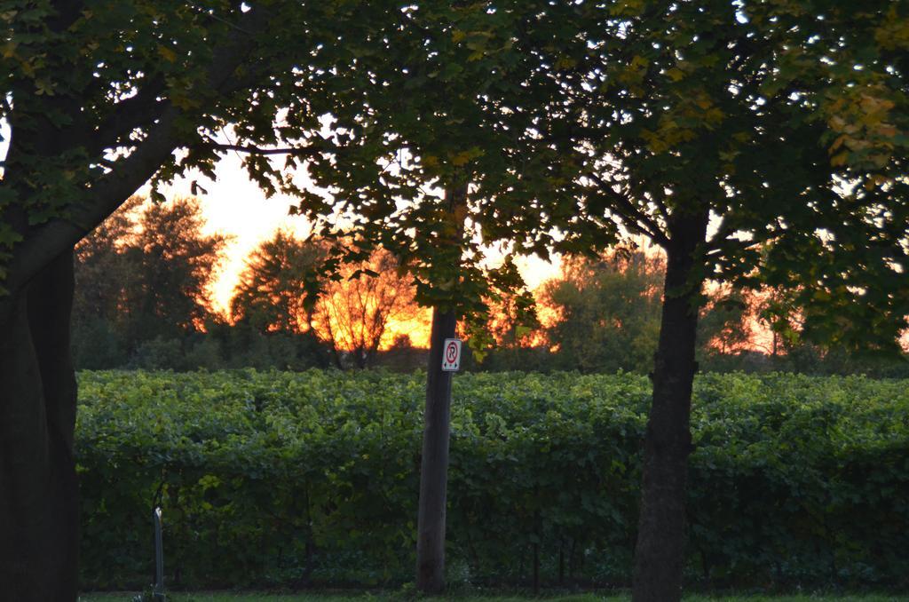 Old Town Country Landing Bed & Breakfast Niagara-on-the-Lake Bagian luar foto
